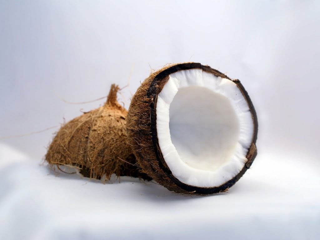 coconut-1125-1920